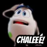 Que pegatina tan interesante