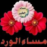 ملصقات وتس 