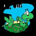 Süße kleine Schildkröte