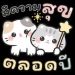 แมวมาร์คัส V.3 : HNY