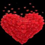 Blommet jie Spesiaal
vir lemand
dierbaar
waardeer
jou.
Koester Die Lewe