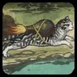 Medieval Cats