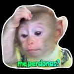 chidas