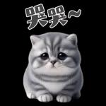 灰色虎斑小奶貓大字大貼圖