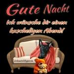 Gute Nacht und schlaf schön! 😴