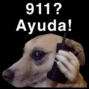 911? Ayuda! - getsticker.com