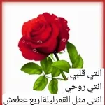 انتى قلبي انتى روحي انتى مثل القمر ليلة اربع عطعش