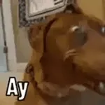 Pos bueno 🤷‍♂️