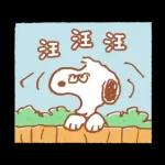 溫暖問候 卡娜赫拉的Piske和Usagi