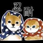 柴柴與貓咪 pack2
