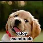 nsihdb