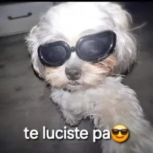 D3rEnh