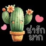 รัก
แม่
also
d
ทซด