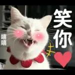 恭喜恭喜 辛苦你了