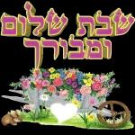 שבת שלום 