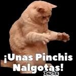 nalgas 