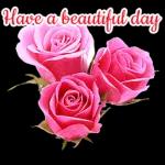 morning wish