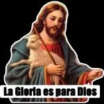 Que venesa