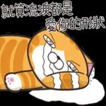 白爛貓53☆超靠北☆