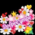 Доброе утро  ☀  ☀