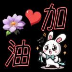 就是可愛的小兔子