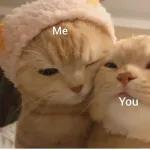 😸Cat & Dog🐾