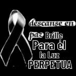 Te amo