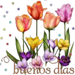 Feliz inicio de semana