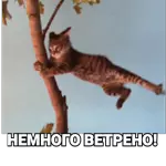живые1