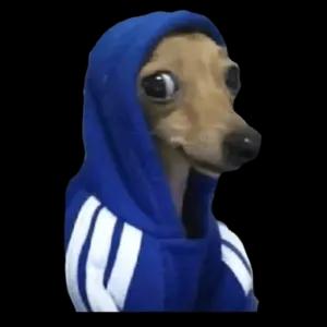 uPNiJm