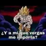 A sus ordenes mi chaparrita