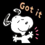 Snoopy and Friends (Buddy Words)