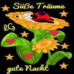 Süße Träume Schlaf gut