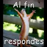 A MÍ NO ME ENGAÑAS TU ERES GAY meme generator.es 