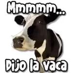 Feliz Noche