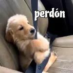 ¿Te atreves a usar Mis propios stickers Contra mí, Potter?