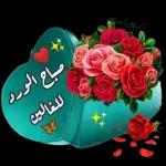 صباح الورد