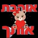 יאיר רומר כאור החמה