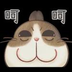 邦妮蓓蓓的日常生活