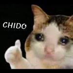 gatitos