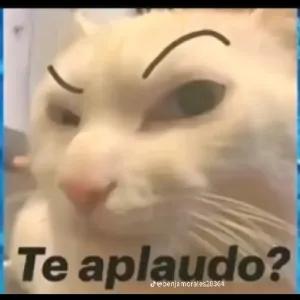 qHuKtT