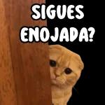 estás enojado 