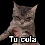 de todo