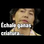CAMATE POFAVO