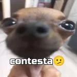 que ases 
