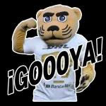 PUMAS