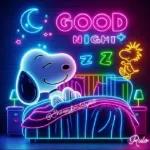 Feliz Noche