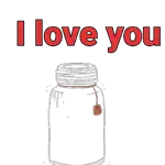 🎀🎀🎀🎀