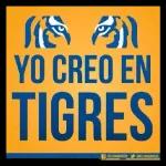 tigres 