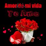 Me robaste mi corazón